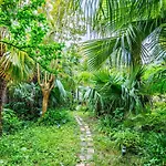 Tropical House * ボルドー