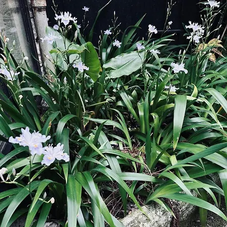 Villa Tropical House Bordeaux