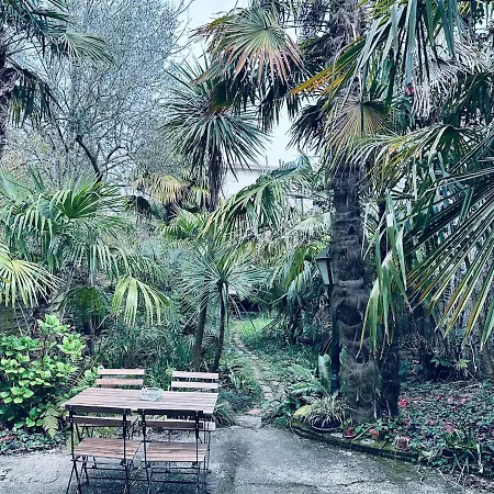 Tropical House