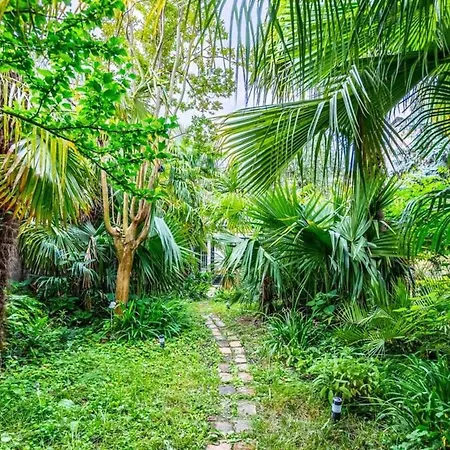 Tropical House * 波尔多