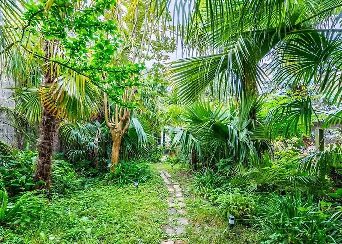 Tropical House * Bordeaux